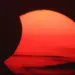 The Best Photos of the Big Solar Eclipse