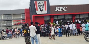 The GH¢15 Chicken and the Chaos That Followed: A Deep Dive into a Global Phenomenon