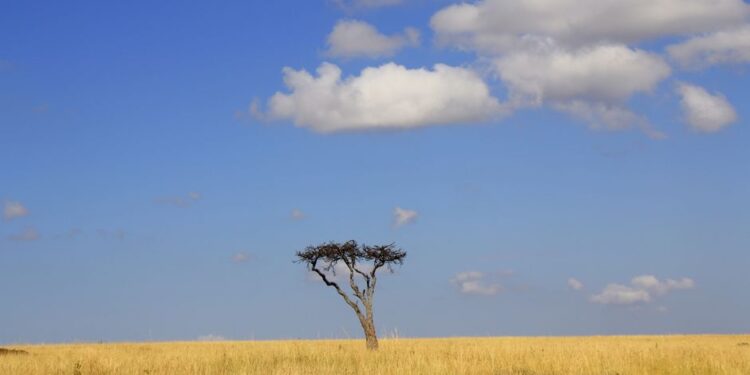 The Maasai Mara’s Battle: Can Kenya’s Iconic Ecosystem Be Saved?