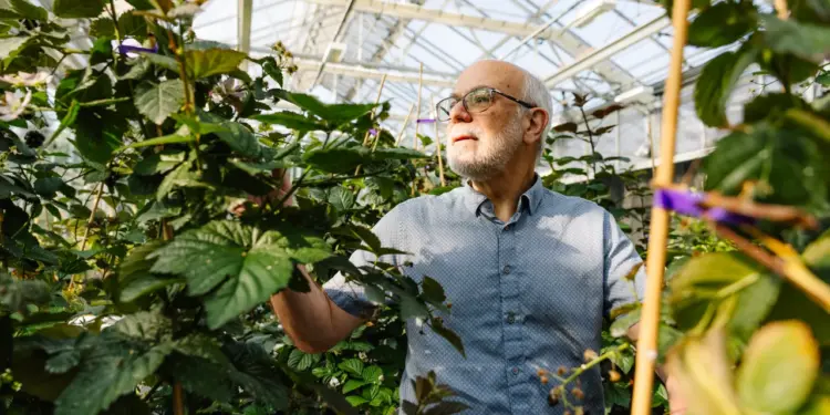 The Promise and Peril of CRISPR-Cas9: A New Era in Food Production