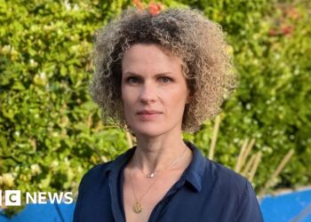 The Shocking Allegations and Ongoing Investigation: A Deep Dive into the Case of Anaïs de Vos