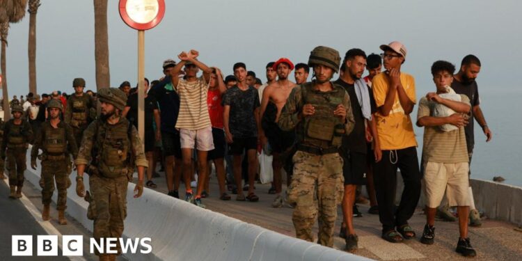 The Spanish Migration Crisis: A Political Earthquake Triggered by Social Media