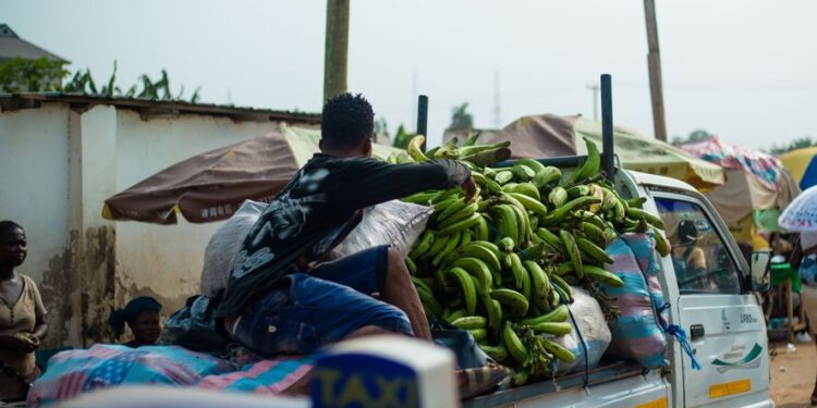 Two Arrested for Concealing 118 Bags of Cocoa in Truck Carrying Plantains