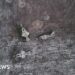 US Condemns ‘Unnecessary Escalation’ After Israeli Airstrikes on Syrian Airbase