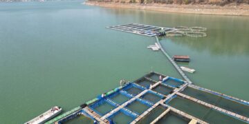 Unprecedented Loss of Life on Lake Kariba: Death Toll Reaches 92