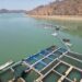 Unprecedented Loss of Life on Lake Kariba: Death Toll Reaches 92