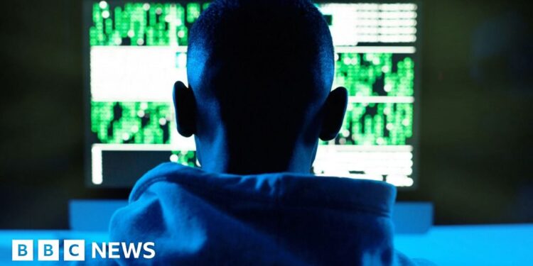 West African Cyber-Crime Networks: Mass Arrests Follow Interpol Crackdown