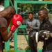 remanded for one week over alleged threat against NSA Director-General – Ayitey Powers Arrested in Ghana Boxing Interim Management Committee Investigation