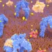 Genetic Tweaks May Unlock Potential for Pancreatic Cell Regeneration