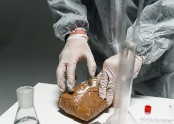 Ghanaian Exporters Face Heightened Foreign Inspections Over Drug Busts – Lawyer
