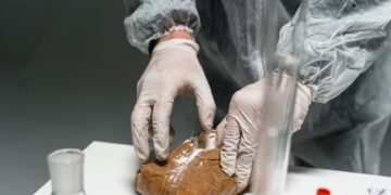 Ghanaian Exporters Face Heightened Foreign Inspections Over Drug Busts – Lawyer