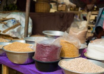 Government Releases 50,000 Bags of Grain to ECOWAS as Ghana Meets Obligations