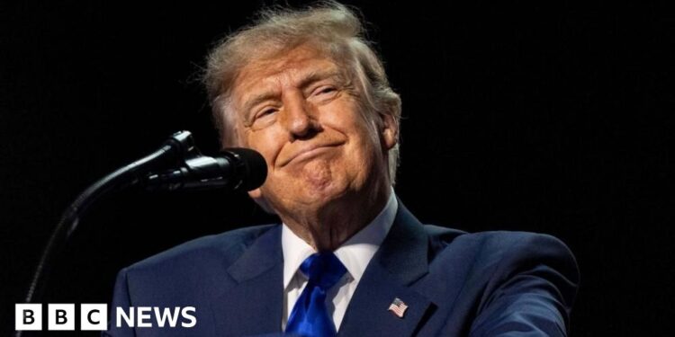 Trump’s $5,000 Offer: A Legal and Financial Minefield?