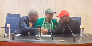 IFP has mastered coalition politics as EFF wields influence without executive power: Mistra